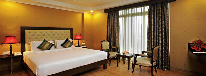 704/The Fern Residency 07.jpg